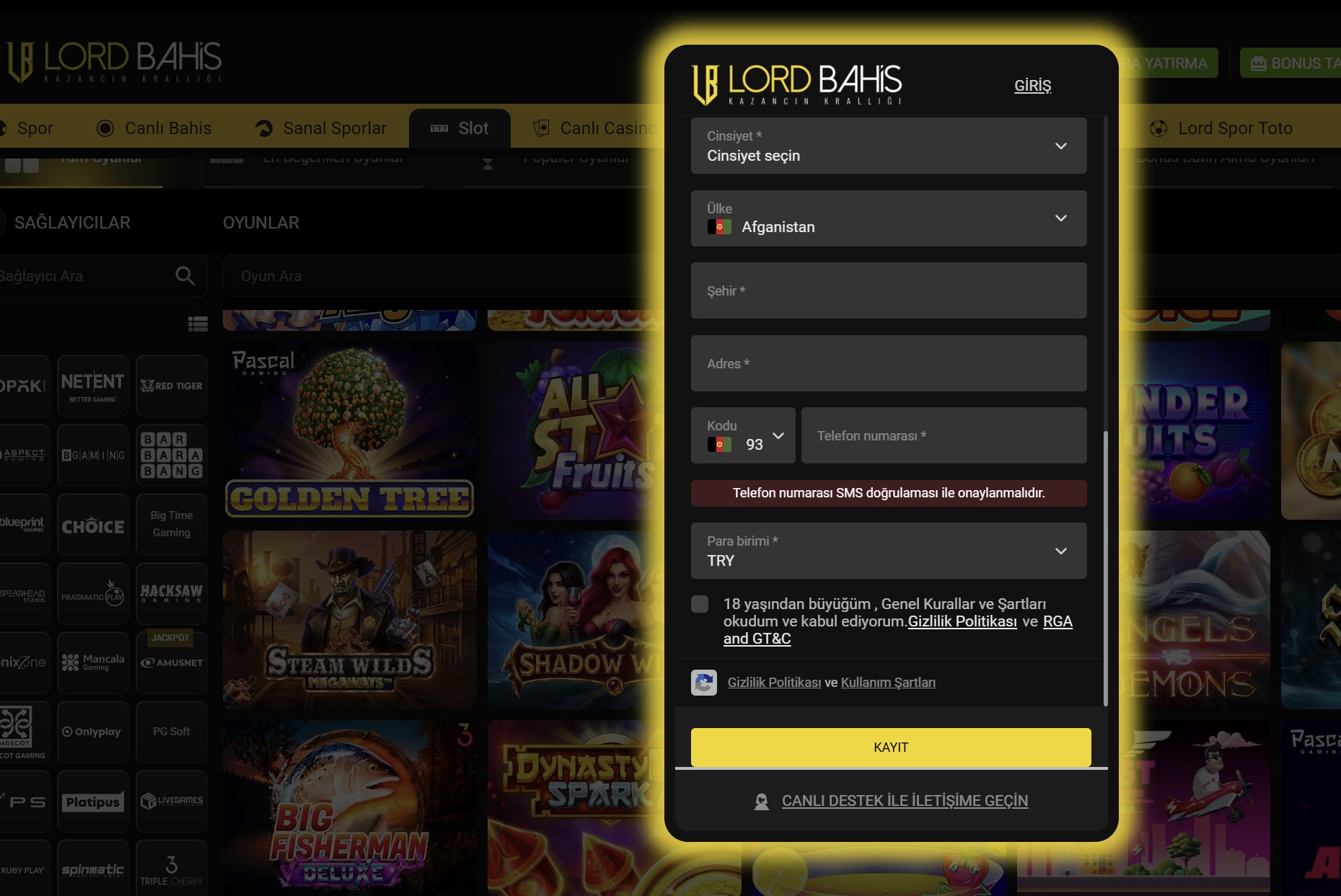 lordbahis giriş